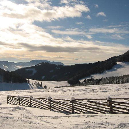 Heidi'S Schlummerkiste Am Fuss Der Teichalm Breitenau am Hochlantsch Exteriér fotografie