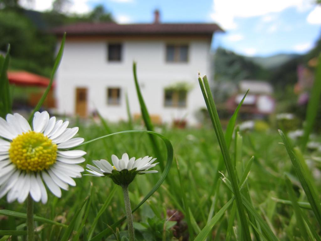Heidi'S Schlummerkiste Am Fuss Der Teichalm Breitenau am Hochlantsch Exteriér fotografie
