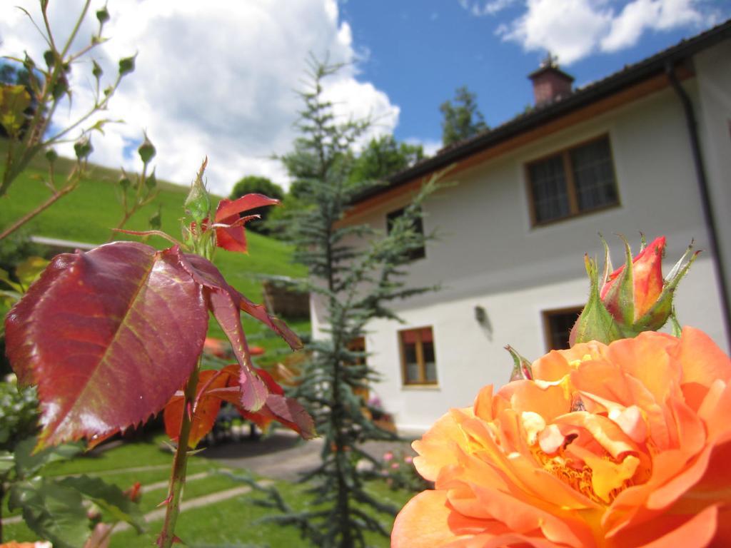 Heidi'S Schlummerkiste Am Fuss Der Teichalm Breitenau am Hochlantsch Exteriér fotografie