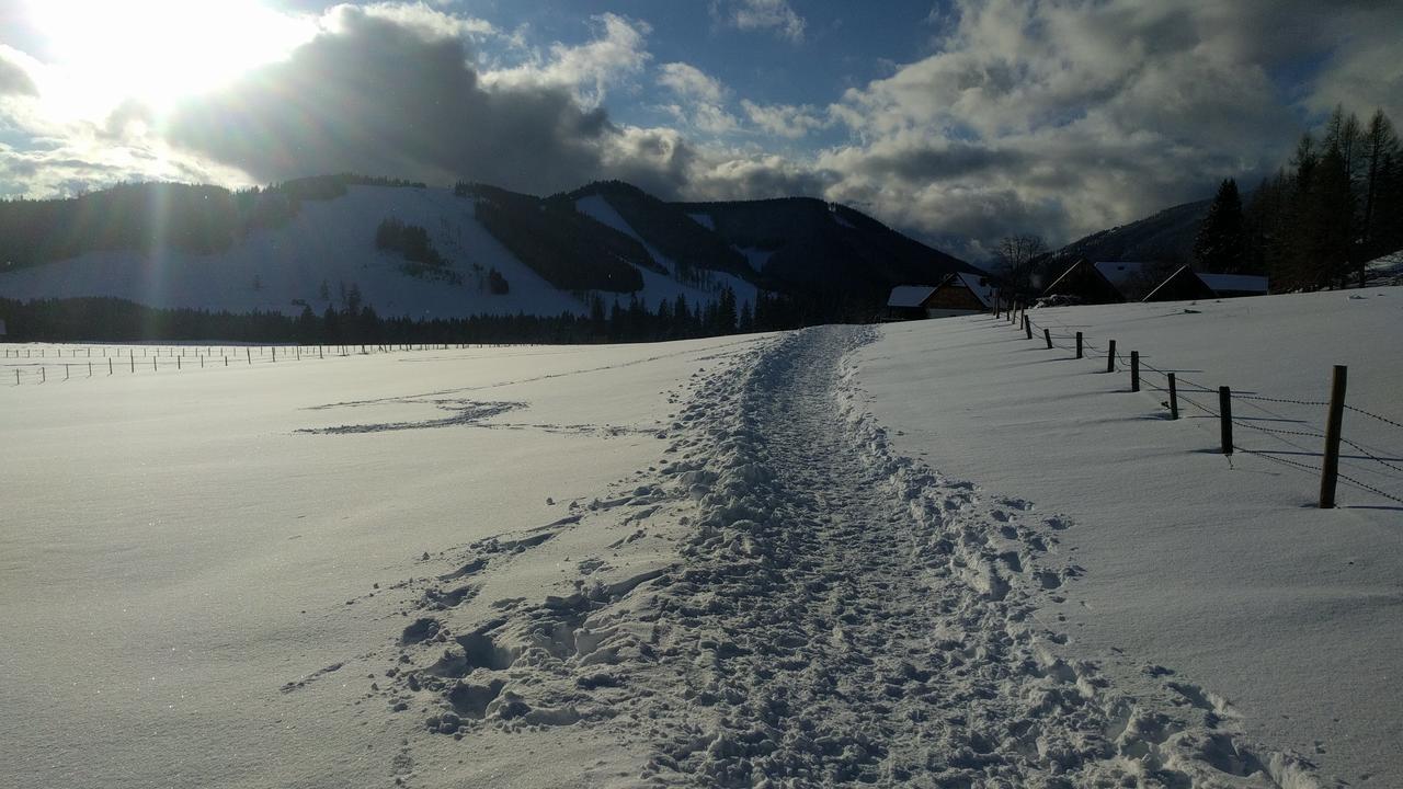 Heidi'S Schlummerkiste Am Fuss Der Teichalm Breitenau am Hochlantsch Exteriér fotografie