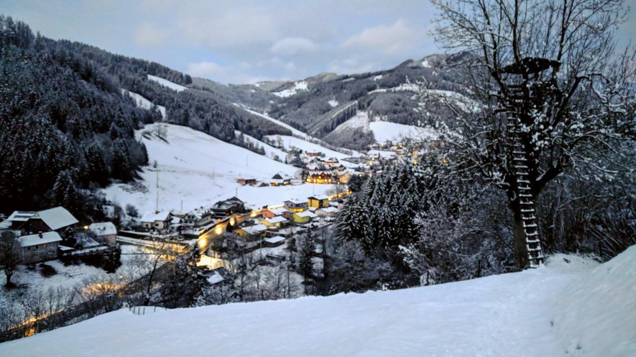 Heidi'S Schlummerkiste Am Fuss Der Teichalm Breitenau am Hochlantsch Exteriér fotografie